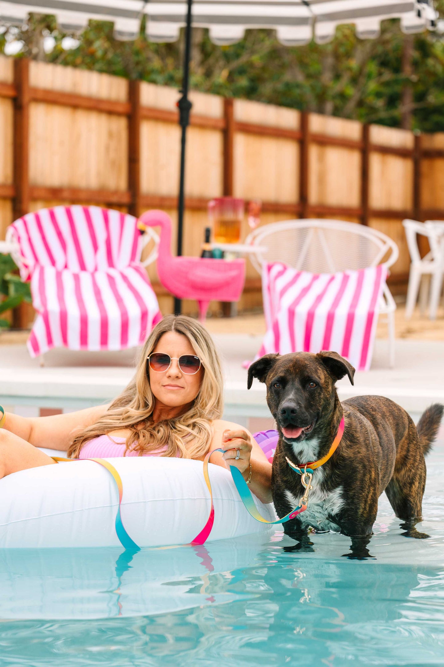 Pippa Waterproof Dog Collar | Swim Dog Collar: XS