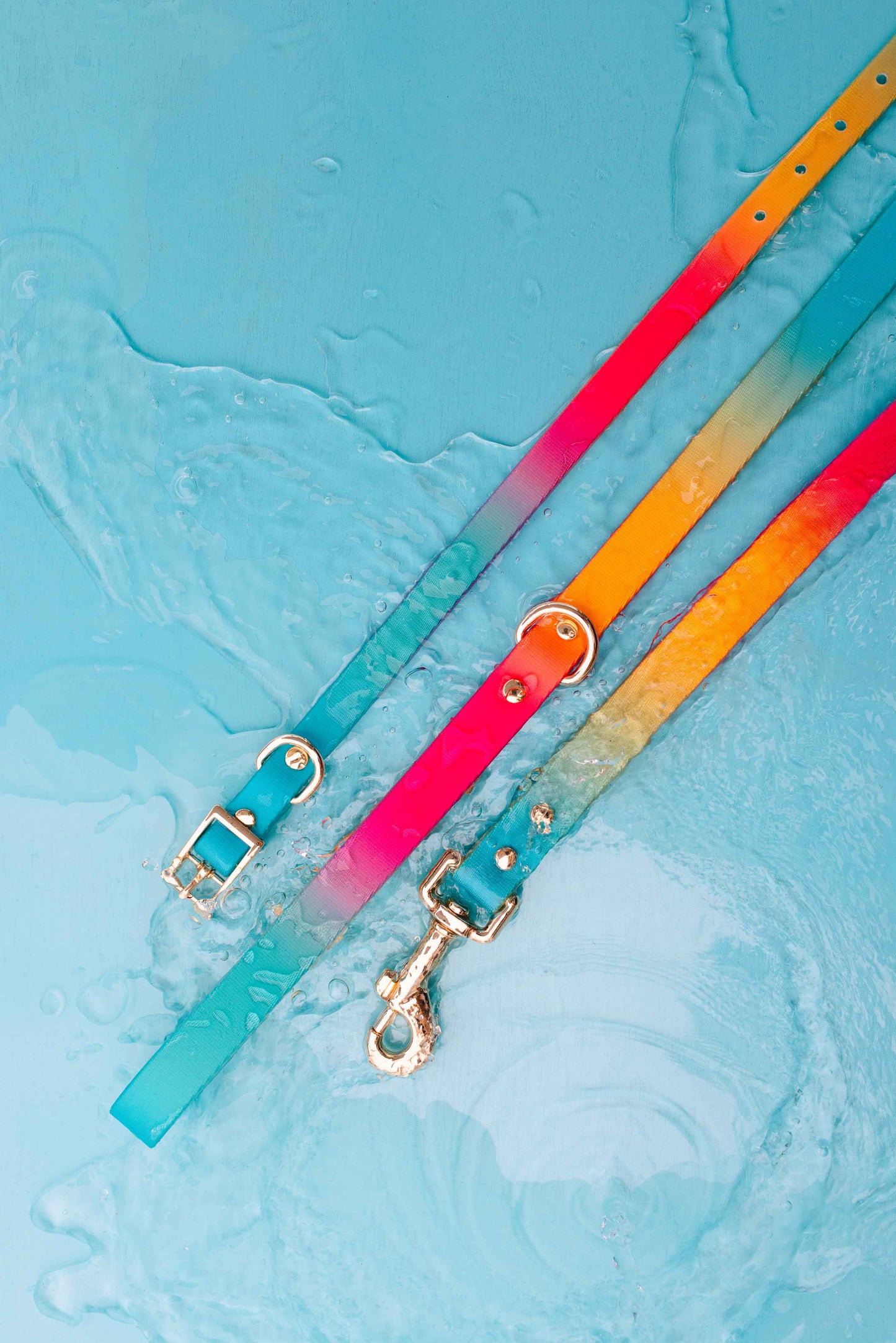 Pippa Waterproof Dog Collar | Swim Dog Collar: XS