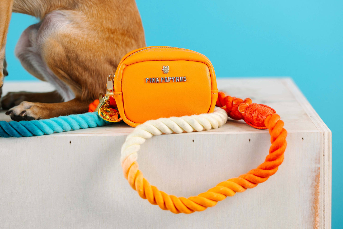 Beau Rope Dog Leash | Dog Leash | Blue And Orange Leash: 6ft