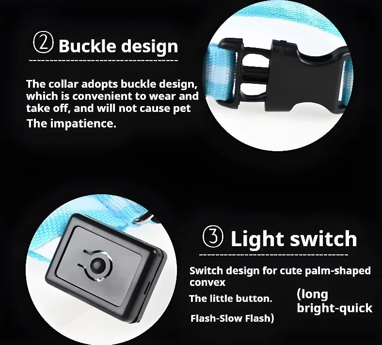 Nylon LED Dog Collar / Night Safety Flashing / Glow In The Dark