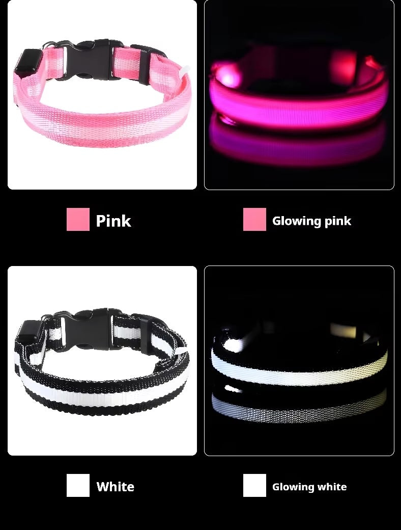 Nylon LED Dog Collar / Night Safety Flashing / Glow In The Dark