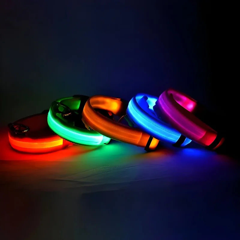 Nylon LED Dog Collar / Night Safety Flashing / Glow In The Dark