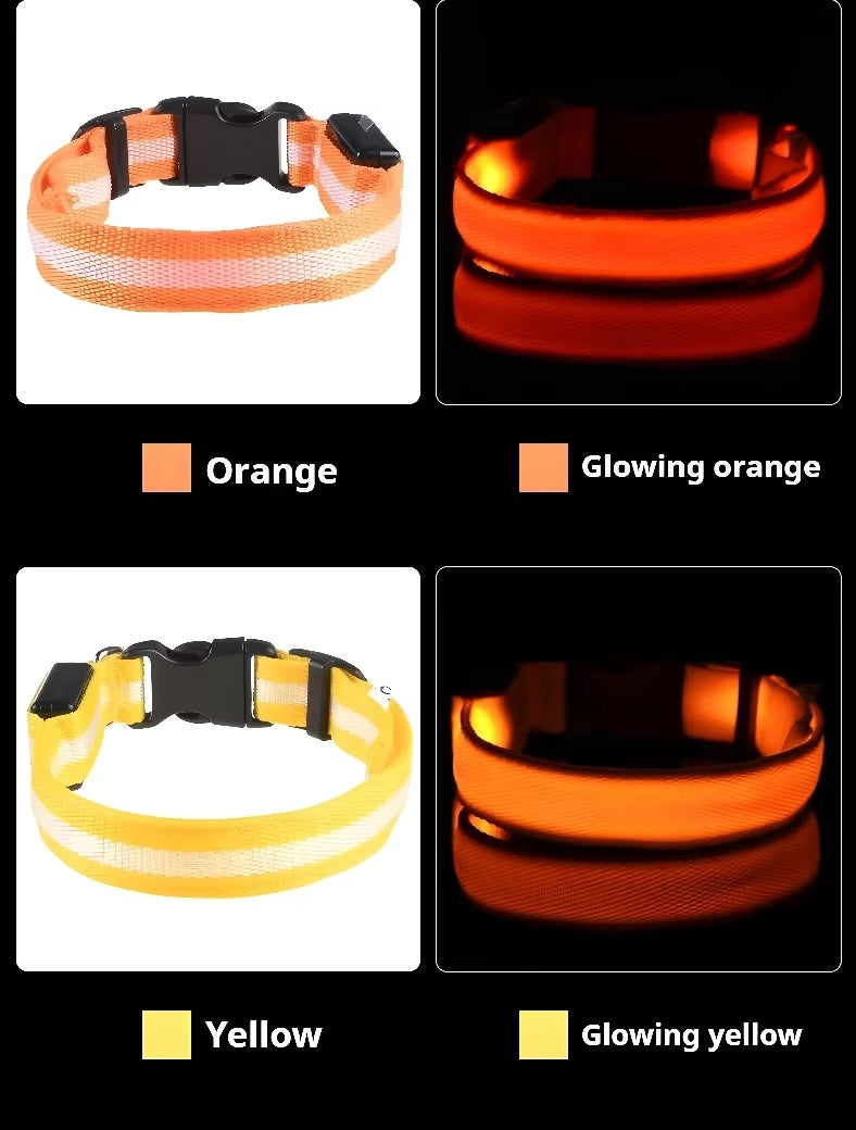 Nylon LED Dog Collar / Night Safety Flashing / Glow In The Dark