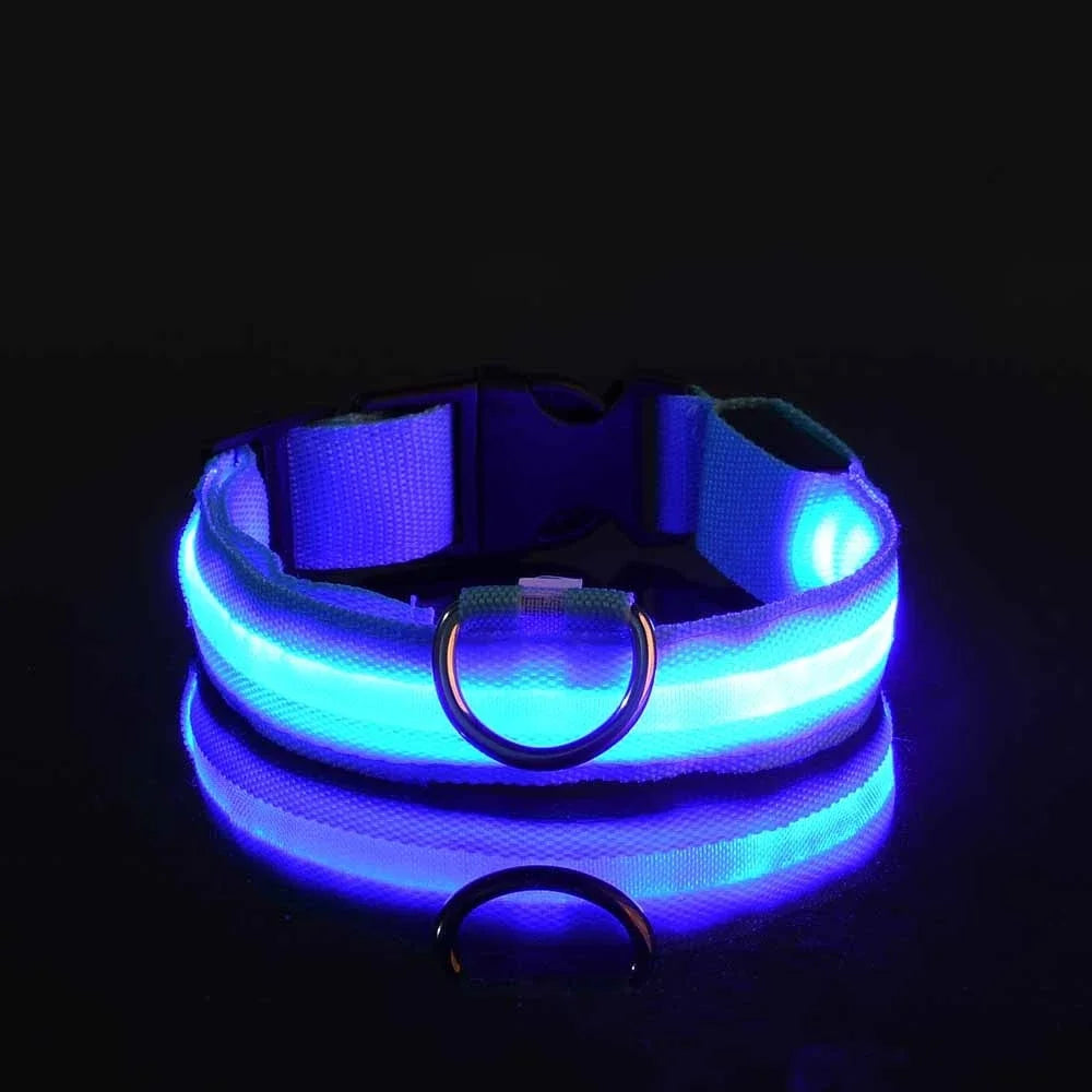 Nylon LED Dog Collar / Night Safety Flashing / Glow In The Dark