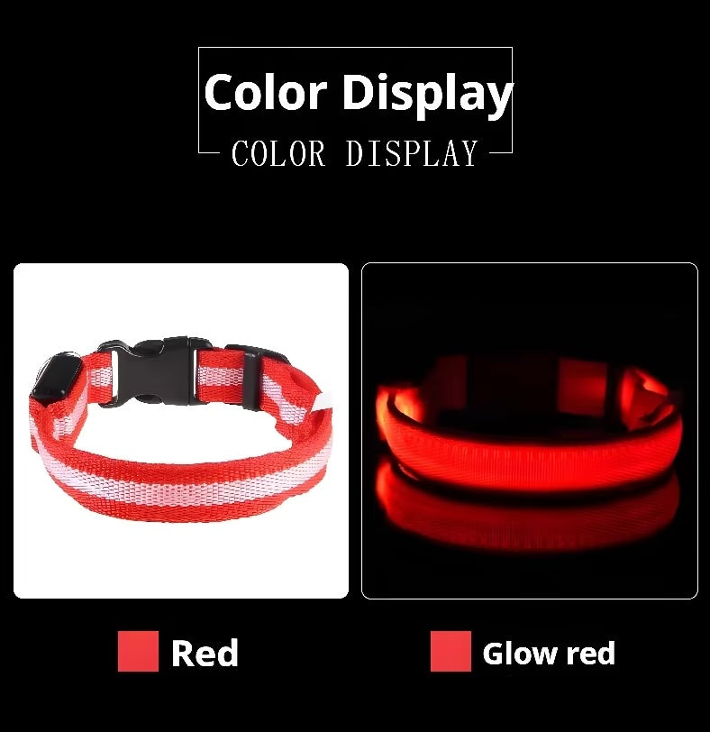 Nylon LED Dog Collar / Night Safety Flashing / Glow In The Dark