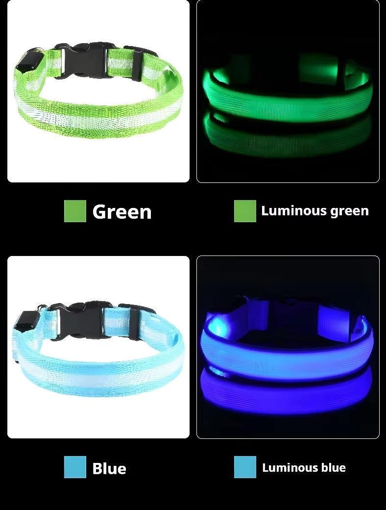 Nylon LED Dog Collar / Night Safety Flashing / Glow In The Dark