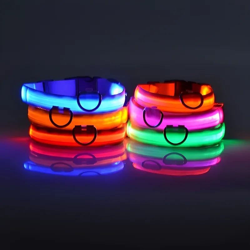 Nylon LED Dog Collar / Night Safety Flashing / Glow In The Dark