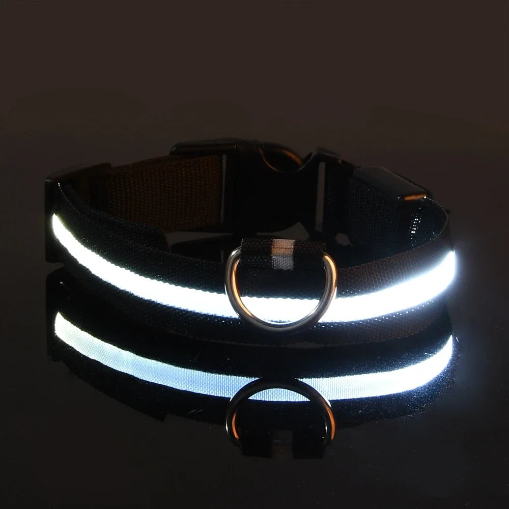 Nylon LED Dog Collar / Night Safety Flashing / Glow In The Dark