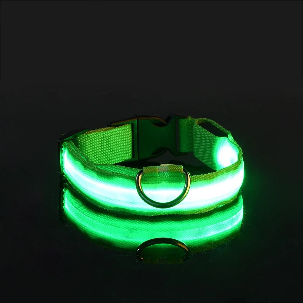 Nylon LED Dog Collar / Night Safety Flashing / Glow In The Dark