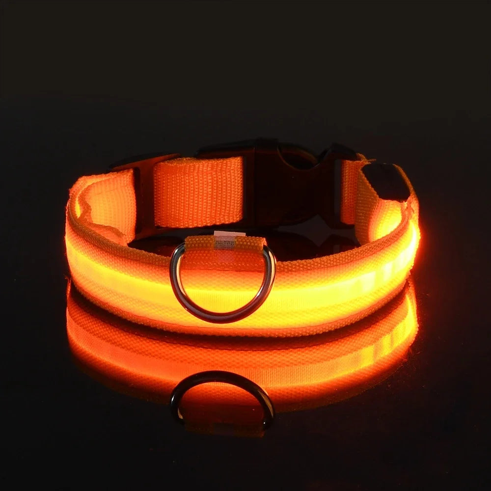 Nylon LED Dog Collar / Night Safety Flashing / Glow In The Dark