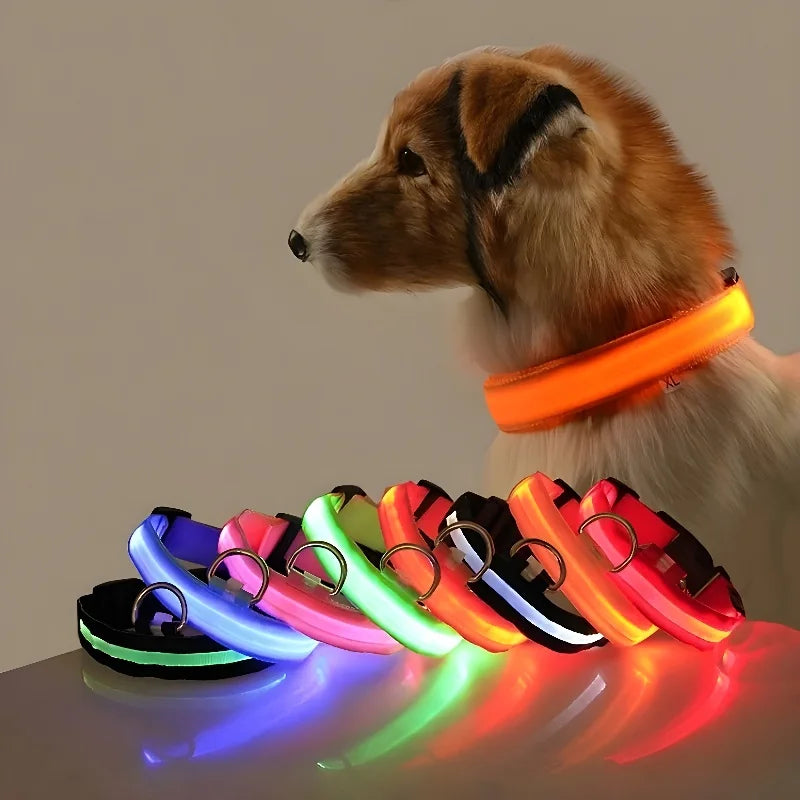 Nylon LED Dog Collar / Night Safety Flashing / Glow In The Dark