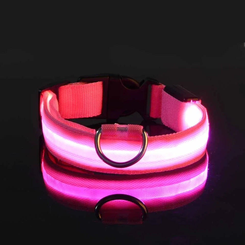 Nylon LED Dog Collar / Night Safety Flashing / Glow In The Dark