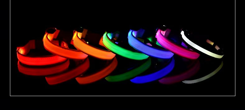 Nylon LED Dog Collar / Night Safety Flashing / Glow In The Dark