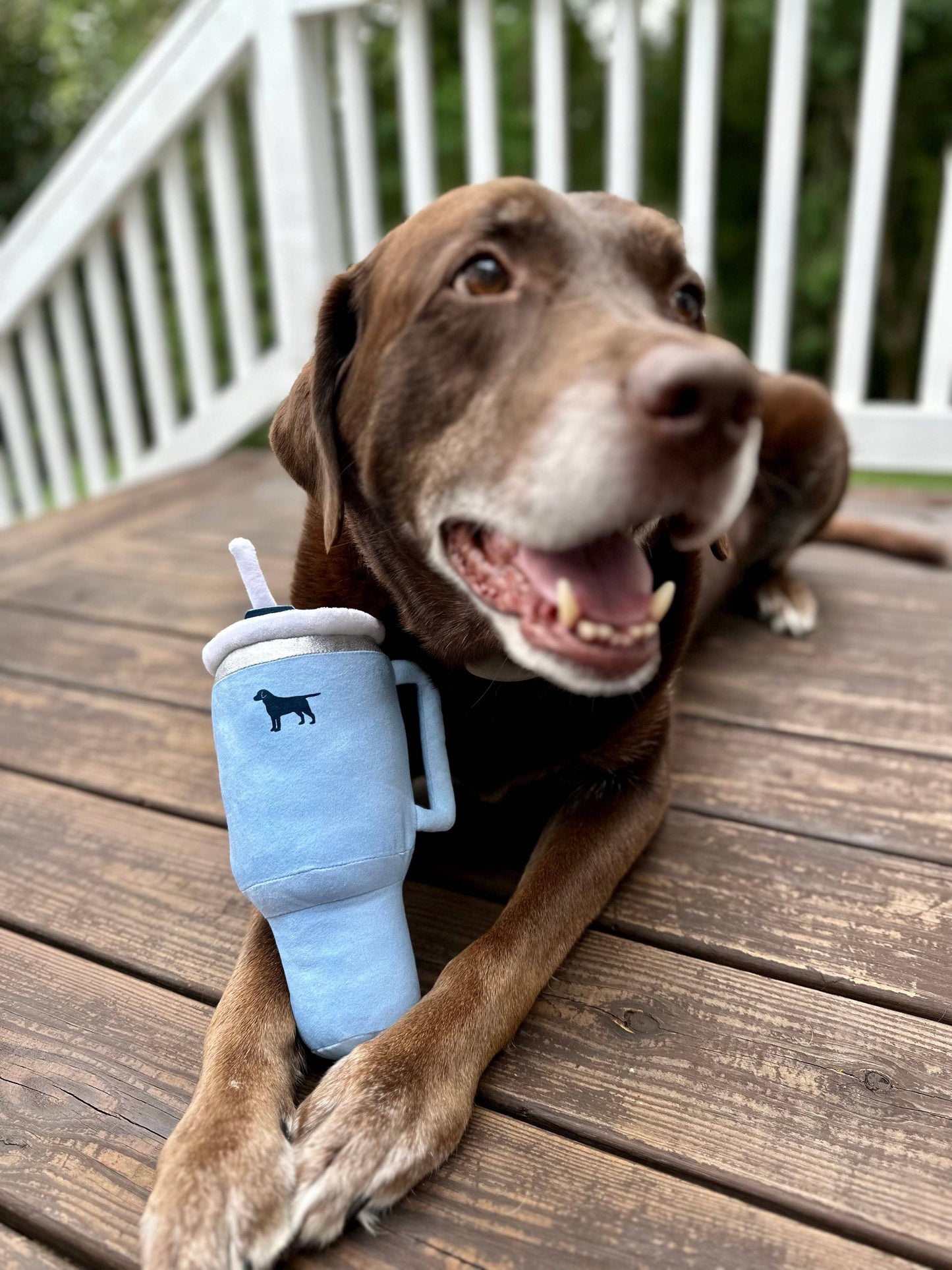 PUPROAR Pup Cup Tumbler Plush  Squeaker Dog Toy: Chambray Blue