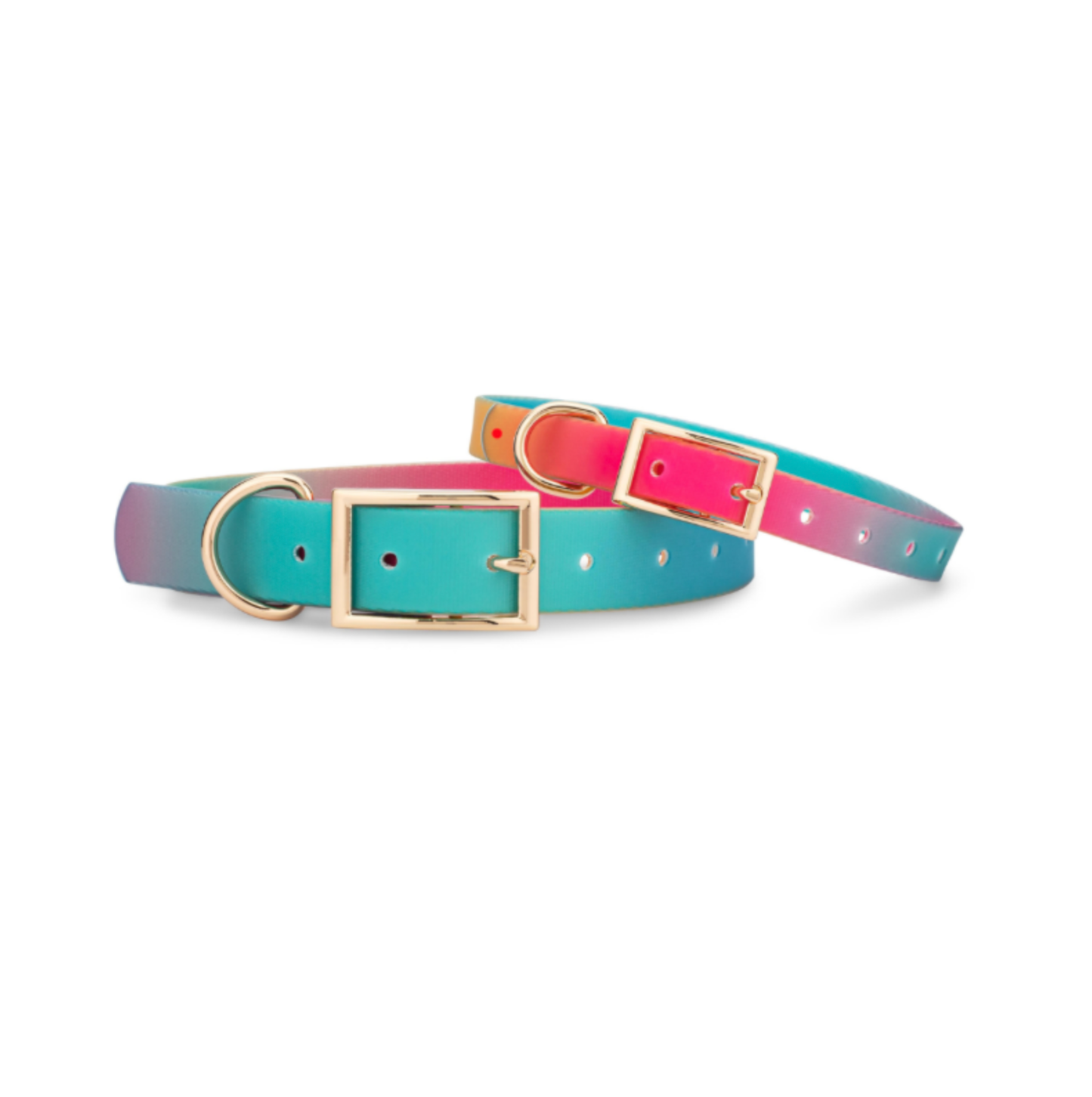 Pippa Waterproof Dog Collar | Swim Dog Collar: S