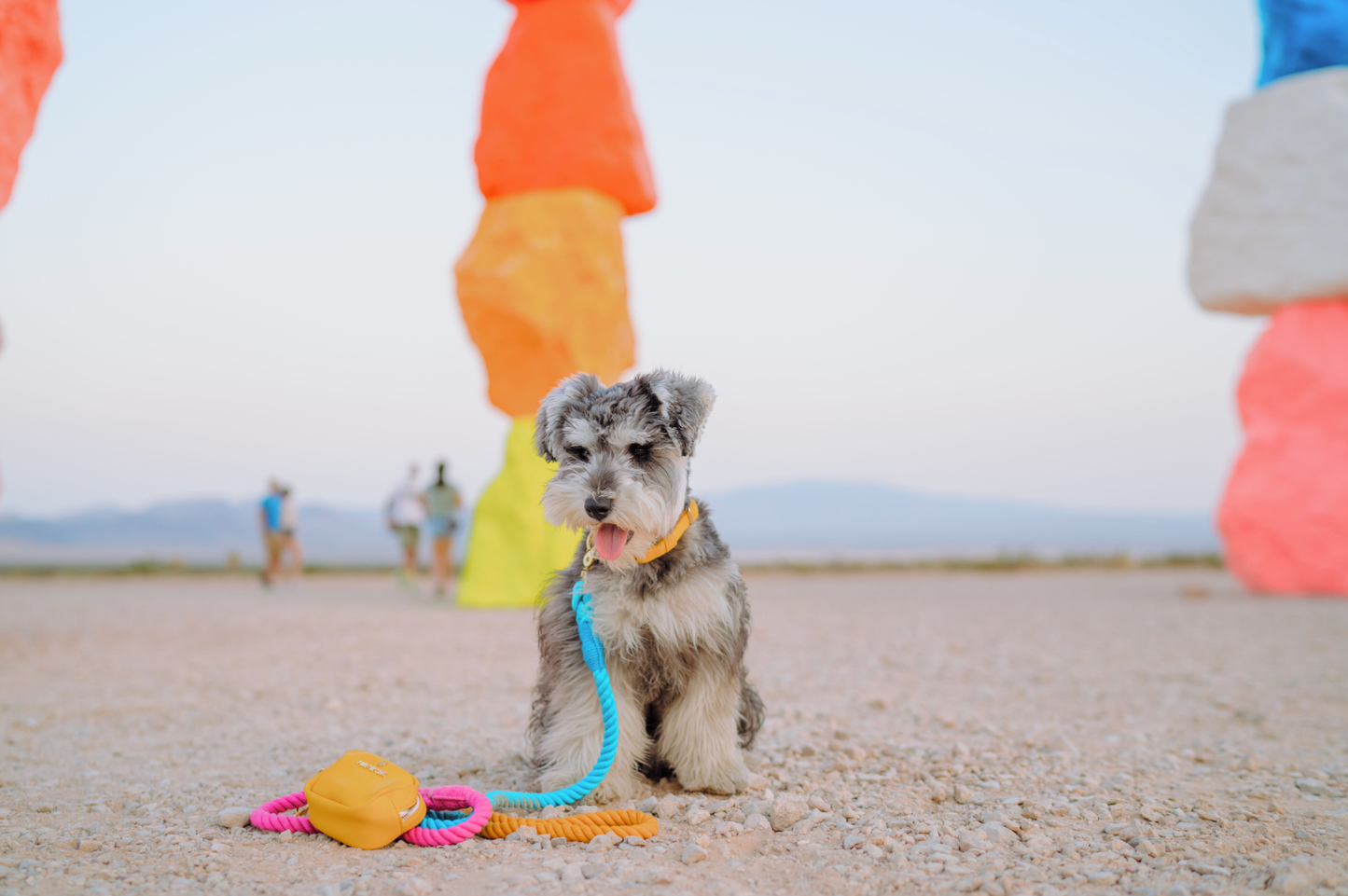 Marley Rope Dog Leash | Dog Leash | Ombre Leash: 6ft