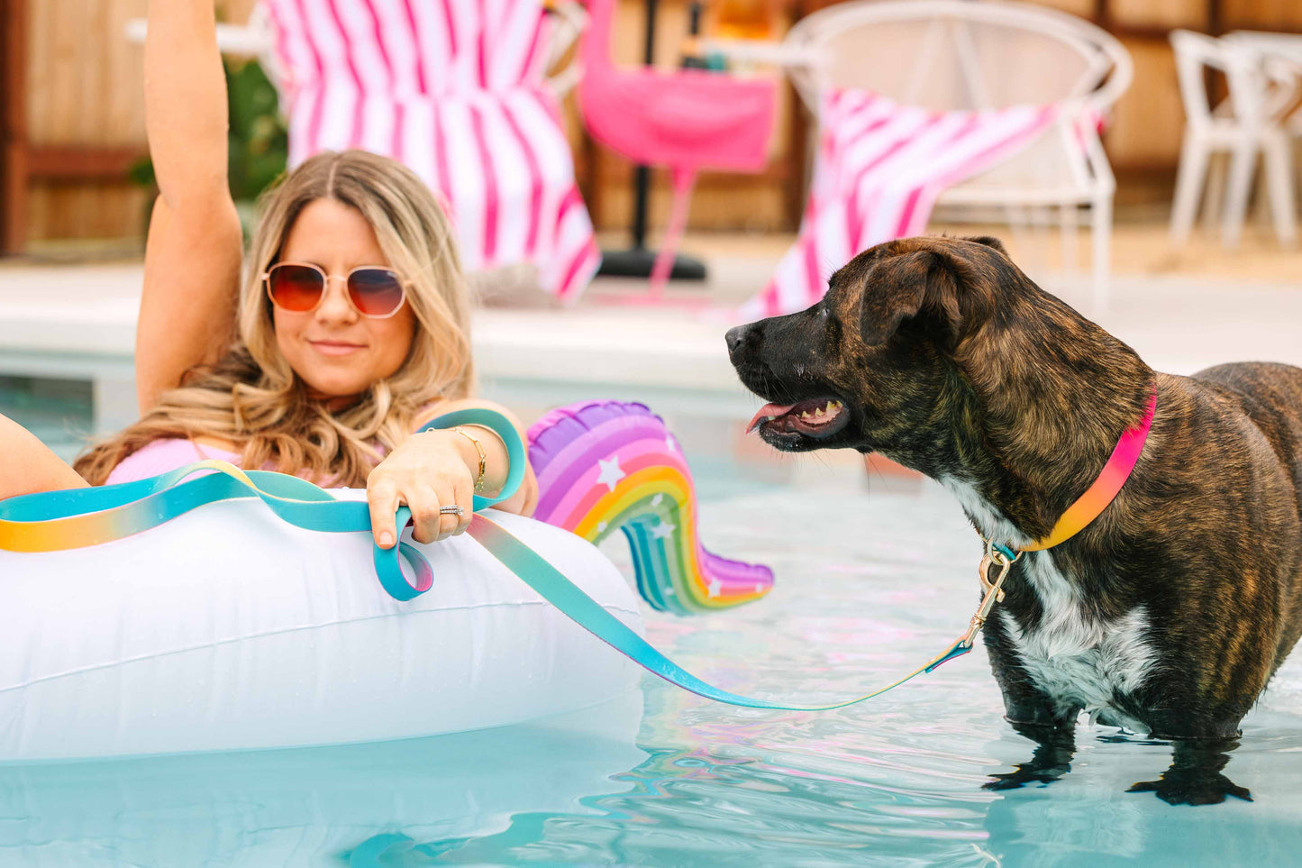 Pippa Waterproof Dog Collar | Swim Dog Collar: S