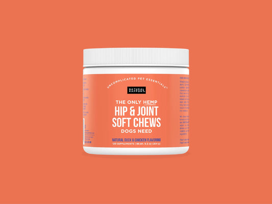 The Only Hemp Hip & Joint Soft Chews Dogs Need: 120 count jar